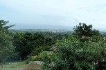 Up in the hills of Jamaica