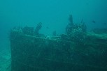 A view of a shipwreck